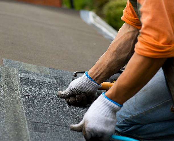 Best Metal Roofing Contractor  in Hot Springs, SD